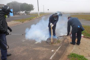 Controle de Pragas na rede pública de coleta de esgotos